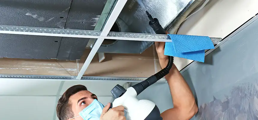 Our Air Duct Rodent Removal Services in Portsmouth, VA