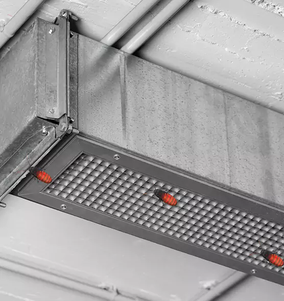 Affordable Insect Removal from Air Ducts in Portsmouth, VA