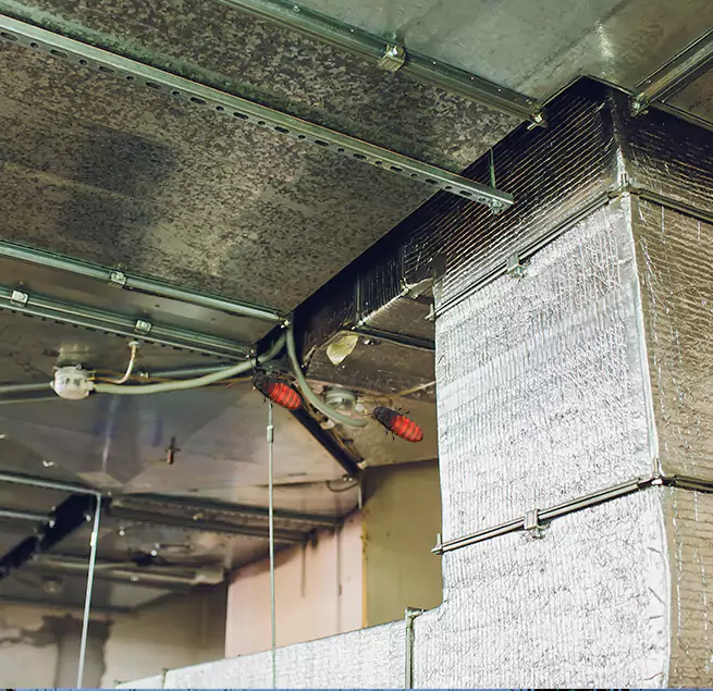 Why Homeowners & Businesses Trust Us in Portsmouth, VA?