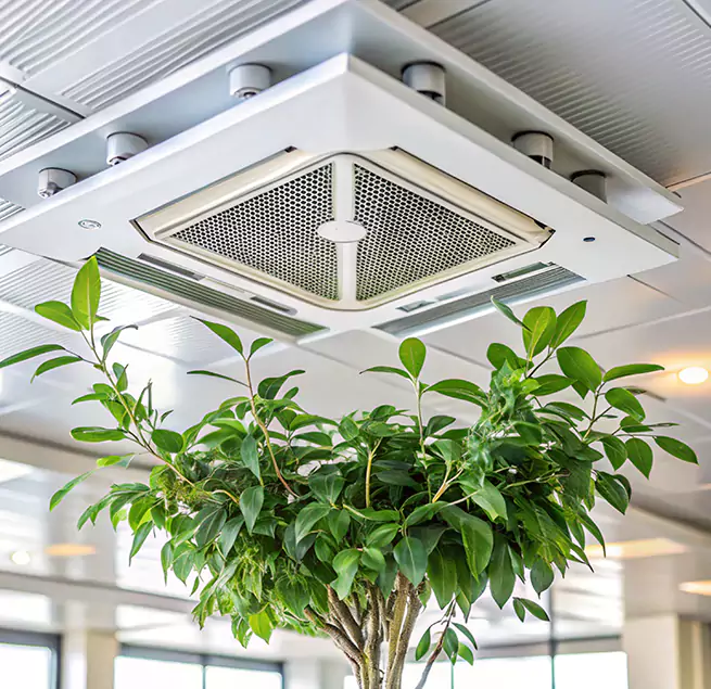 Why Homeowners & Businesses Trust Us in Portsmouth, VA?